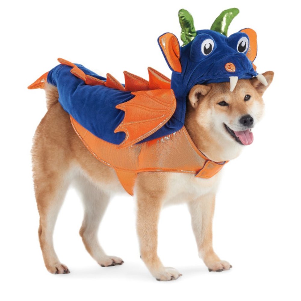 SPOOKY NIGHT Monster Pet Costume - Medium